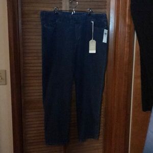 Cold Water Creek pull on jeans